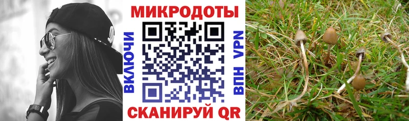 Галлюциногенные грибы Cubensis  дарк нет состав  Солигалич 